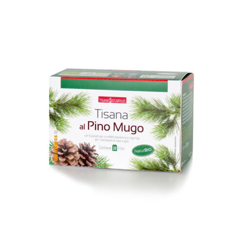 pino mugo