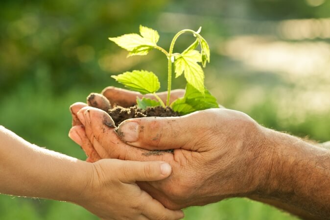 La natura è tutto